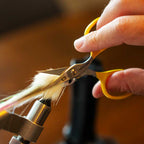 Person trimming a bird's feathers with yellow-handled Loon Ergo Tungsten Carbide Universal Scissors w/ Precision Peg.