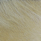 A close-up of a bundle of tan, Hareline Arctic Fox Hair for fly tying, commonly used in crafting fishing flies.