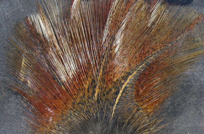 Close-up of a Hareline Coq De Leon feather with brown and gray colors on a textured surface
