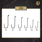 Family of Daiichi 1750 fishing hooks with size labels on a branded background