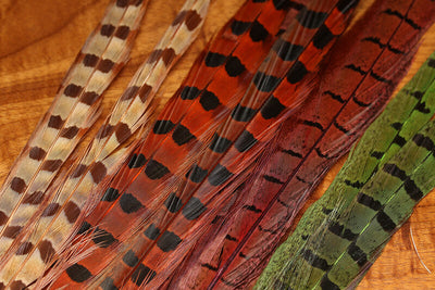 Spirit River UV2 Ringneck Pheasant Tail Feathers