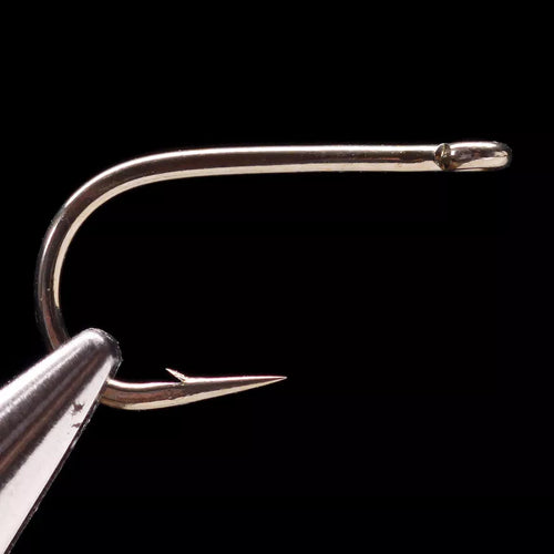 A close-up image of a Daiichi 1650 bronze fishing hook with a round bend and a straight-eye, featuring a short shank and a hook eye visible in the foreground.