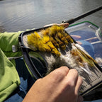 Close-up of a fly fishing box with yellow and brown flies, held by a person by a body of water.