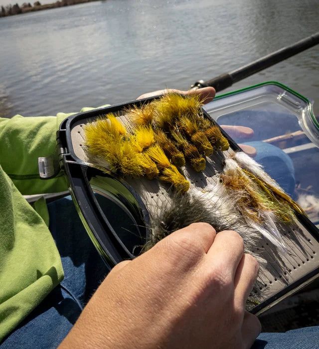 Big Daddy Streamer Box