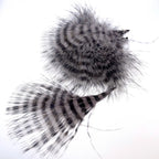MFC Barred Marabou 3"-5" Feathers