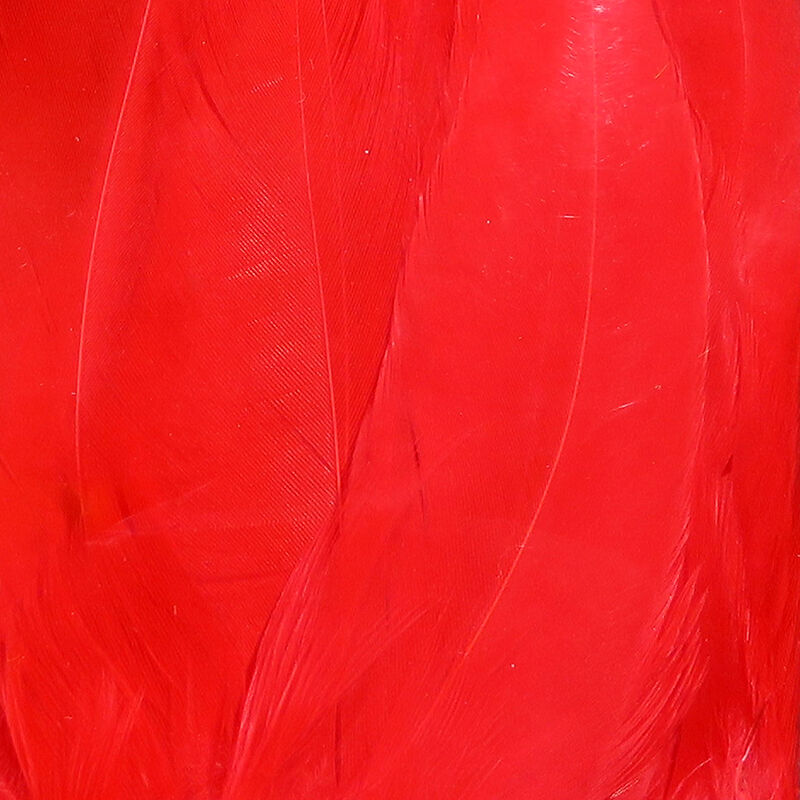 Spirit River UV2 Schlappen