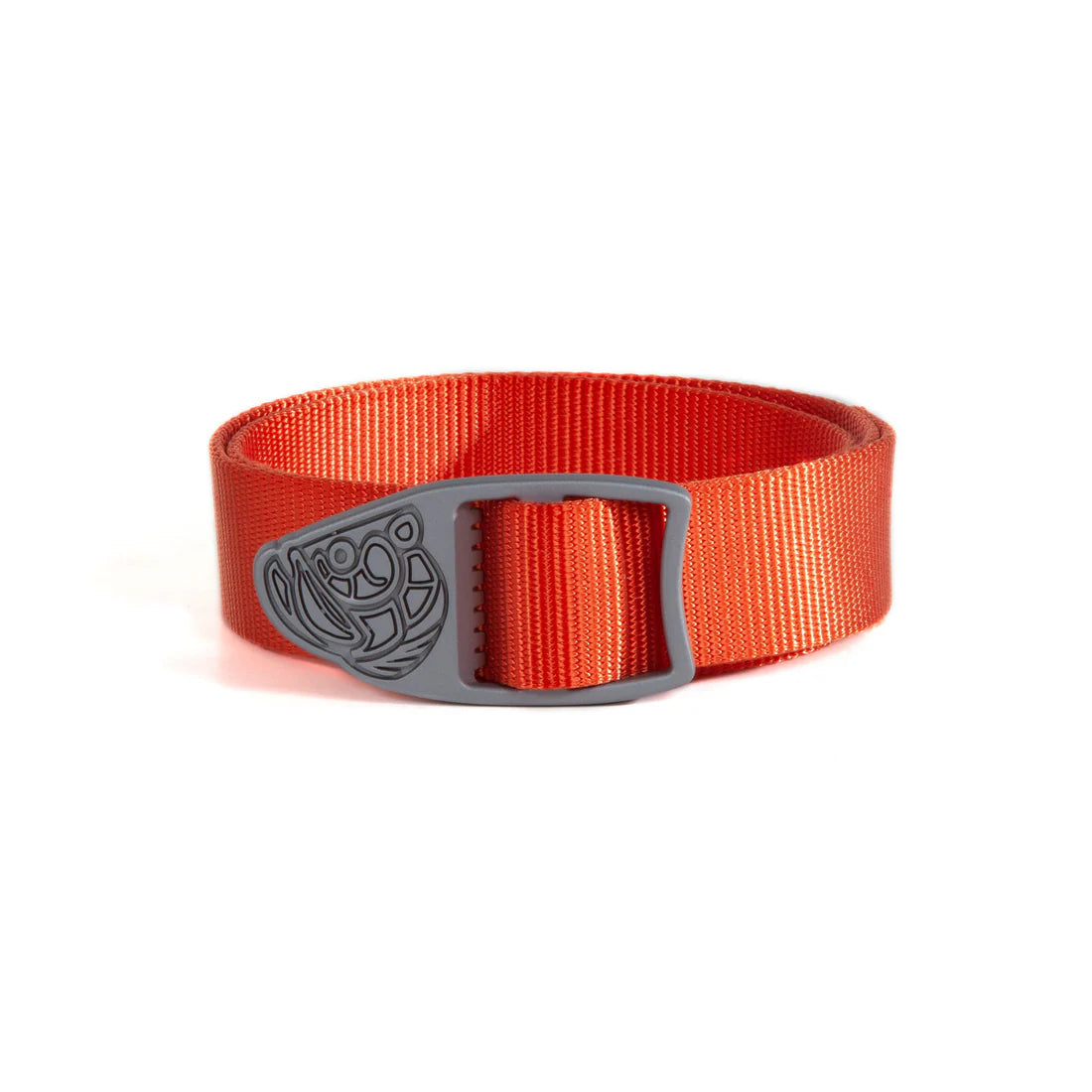 Orange belt with a gray buckle on a white background
