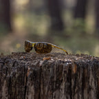 Sunglasses on a tree stump with a blurred forest background