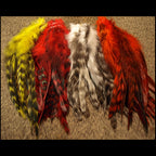 Four colorful Nature's Spirit Grizzly Variant Schlappen on a beige carpet
