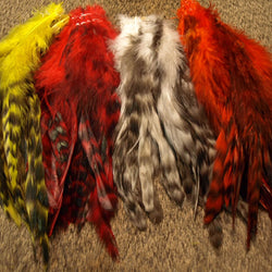 Nature's Spirit Grizzly Variant Schlappen