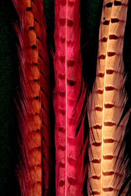Cascade Pheasant Tail Feathers
