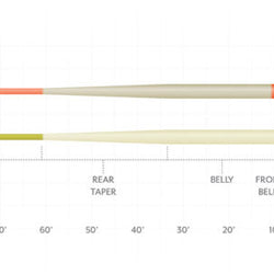SA Amplitude Smooth Anadro Indicator