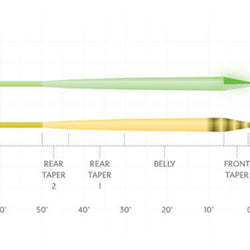 SA Amplitude Smooth Infinity