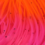 Close-up of pink and orange Hareline Tipped Crazy Legs
