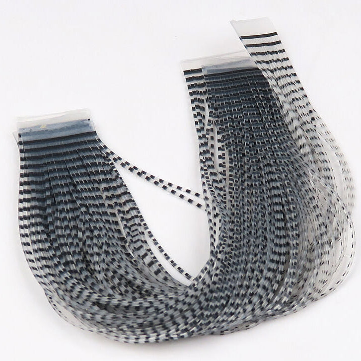 Hareline Chicone's Regular Crusher Legs