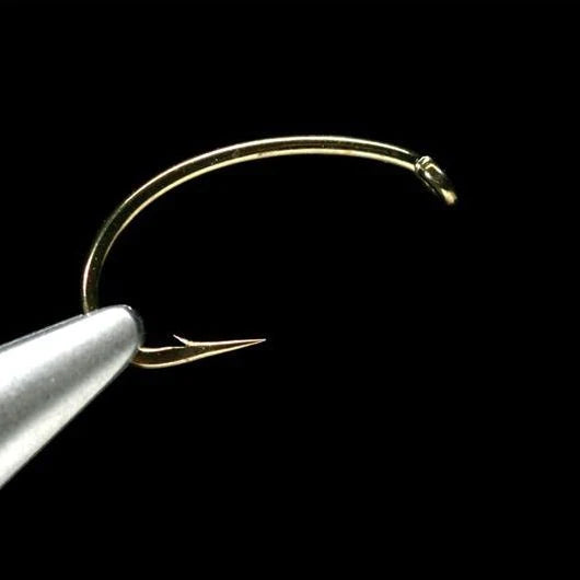 Daiichi 1120 Scud Hook