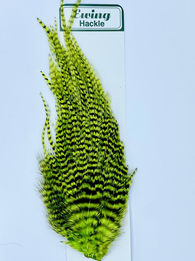 Ewing Grizzly Woolly Bugger Patches