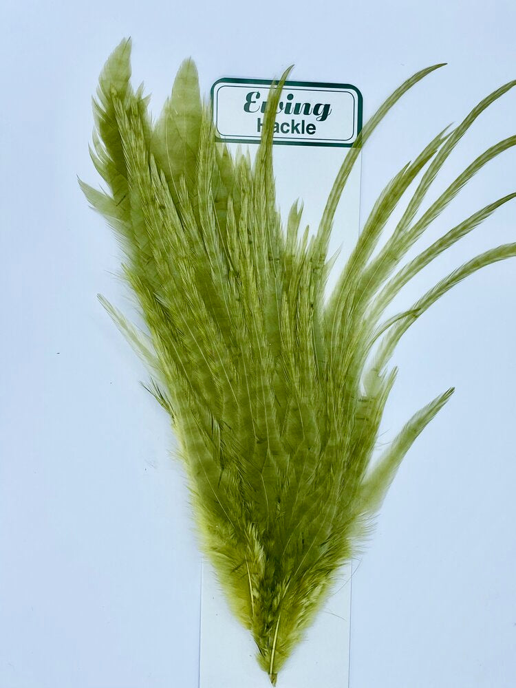 Ewing Grizzly Woolly Bugger Patches