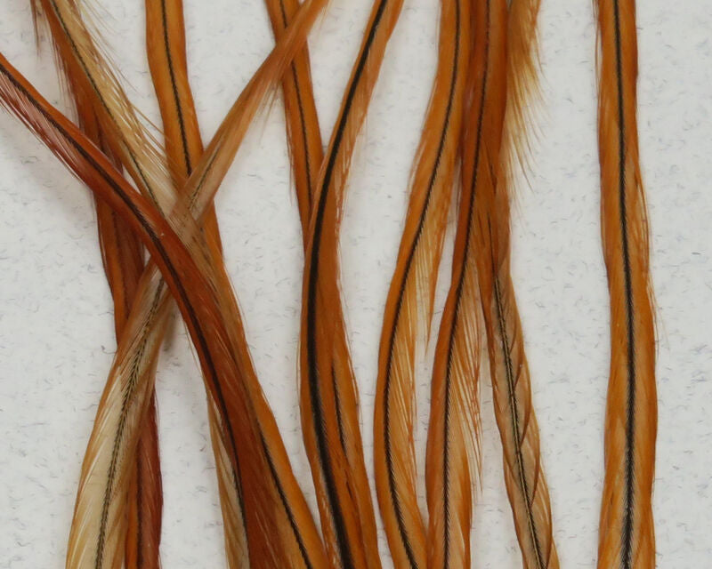 Keough Saddle Value Packs