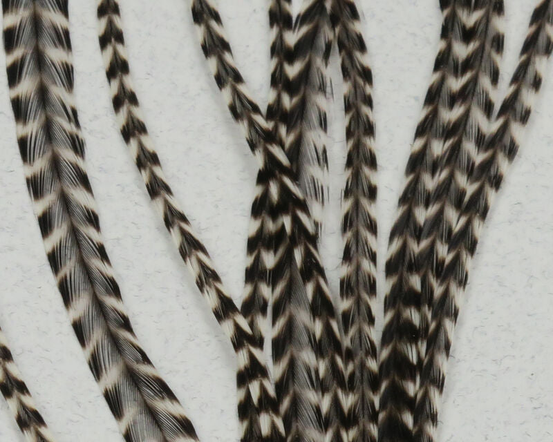 Keough Saddle Value Packs