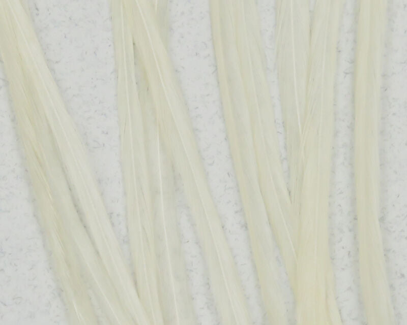 Keough Saddle Value Packs