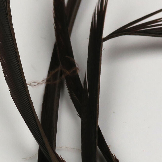 Hareline Stripped Goose Biots