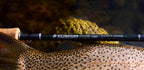 Sage R8 Fly Rod close up