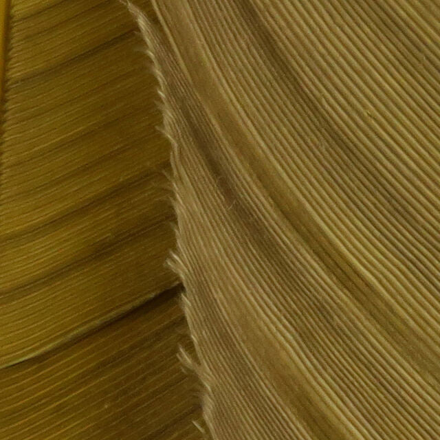 Close-up of a textured brown Hareline Turkey Biot Quills