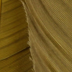 Close-up of a textured brown Hareline Turkey Biot Quills