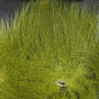 Colorful fox tail hair on a wooden surface