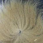 Colorful fox tail hair on a wooden surface