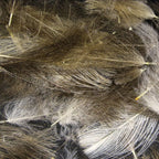 Hareline Cul De Canard Feathers