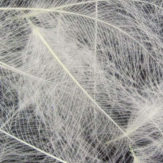 Hareline Cul De Canard Feathers