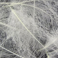 Hareline Cul De Canard Feathers