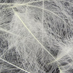 Hareline Cul De Canard Feathers