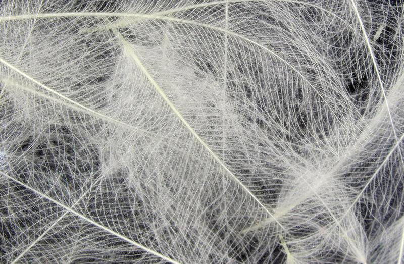 Hareline Cul De Canard Feathers