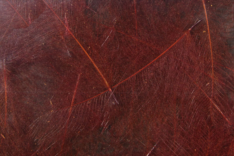 Hareline Cul De Canard Feathers