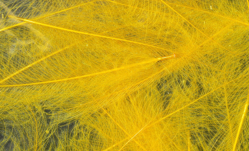 Hareline Cul De Canard Feathers