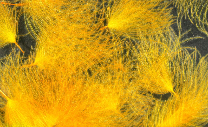 Hareline CDC Oiler Puffs