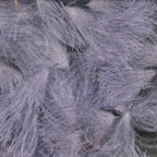 A collection of various sized Hareline CDC Oiler Puffs feathers arranged on a wooden surface.