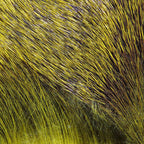 Hareline Dyed Deer Body Hair