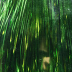 Close-up of green Hedron Flashabou with a blurred background