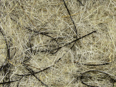 Hareline Hare's Wiggle Dub