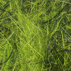Close-up of green Hareline Hare's Wiggle Dub