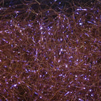 Close-up of purple ice dub