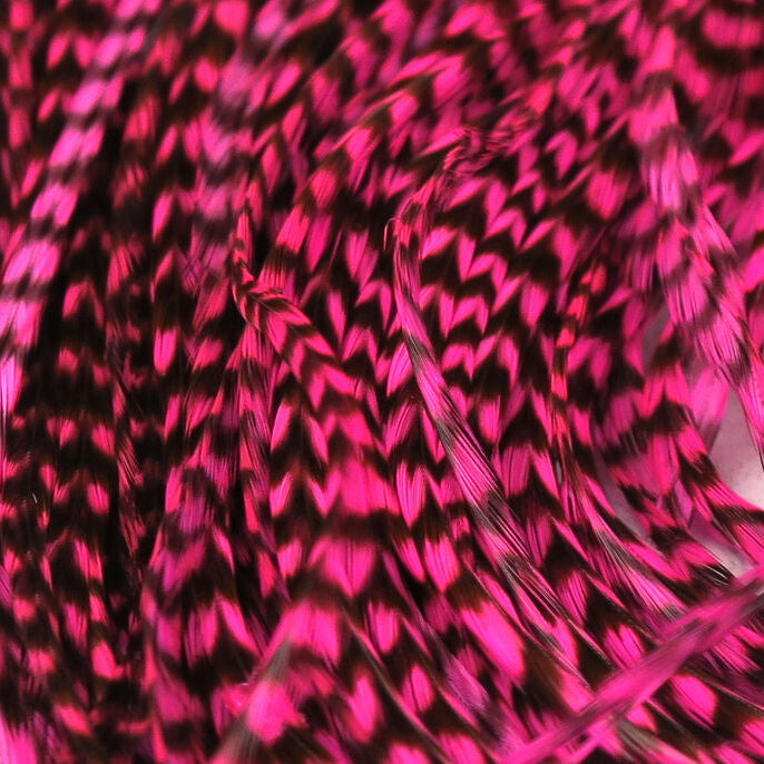 Close-up of pink and black feathers