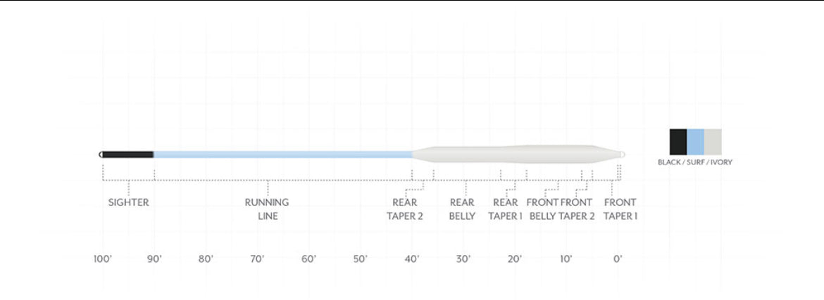 SA Amplitude Smooth Bonefish