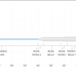 SA Amplitude Smooth Bonefish