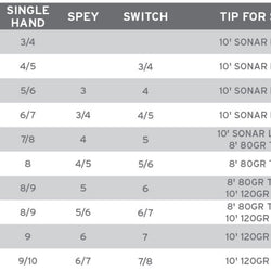 SA Spey Lite Scandi Head