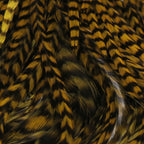Close-up of gold and black feathers